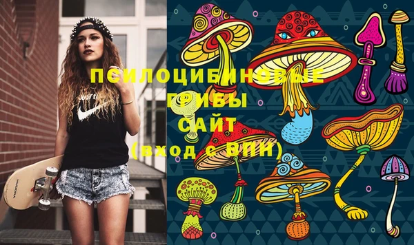 прущие крисы Армянск