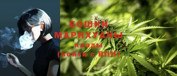 соль ск Арсеньев