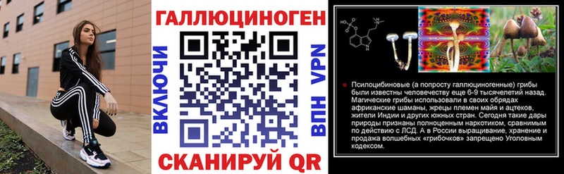 купить  цена  Циолковский  гидра маркетплейс  Галлюциногенные грибы мицелий 