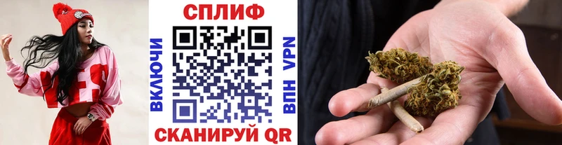 Канабис планчик  Циолковский 